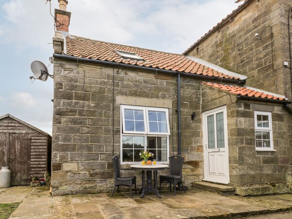 Hawthorn Dale Cottage - Whitby