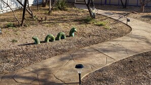 Un cortile con un vialetto in cemento, una recinzione bianca e alberi spogli.