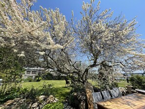Outdoor dining - Relax by the sea! Bed & Breakfast room near Horseneck State Beach  (Westport)