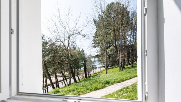A window with a view of a grassy area with trees and a dirt path. - La Tour du Castel Beach - 200m de la plage (Moëlan-sur-Mer)