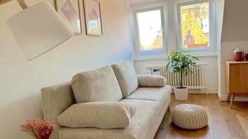 Fernseher, Arbeitsbereiche