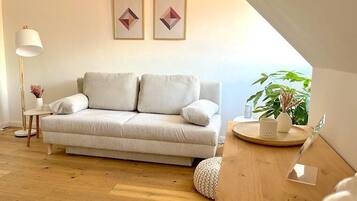 Fernseher, Arbeitsbereiche