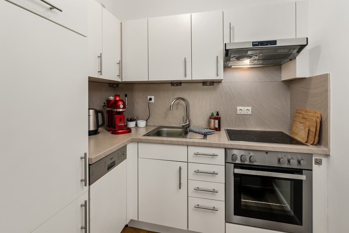 Fridge, oven, stovetop, dishwasher