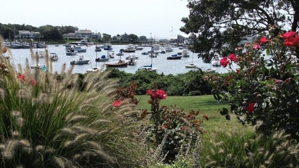 A harbor with numerous boats, surrounded by lush greenery and flowering plants. - Home away  Harwich (Harwich)