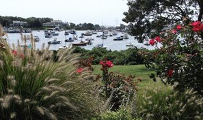 Enjoy the serene harbor views and lush green surroundings.