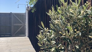 A wooden fence with a metal gate, a wooden deck, and a small tree with green leaves and white flowers. - Stunning, newly refurbished, beachfront townhouse in Rustington (Rustington)