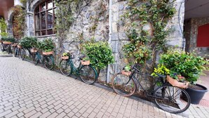 Une rangée de vélos, chacun muni d’un panier, est garée le long d’un mur de pierre sur lequel poussent des plantes grimpantes.
