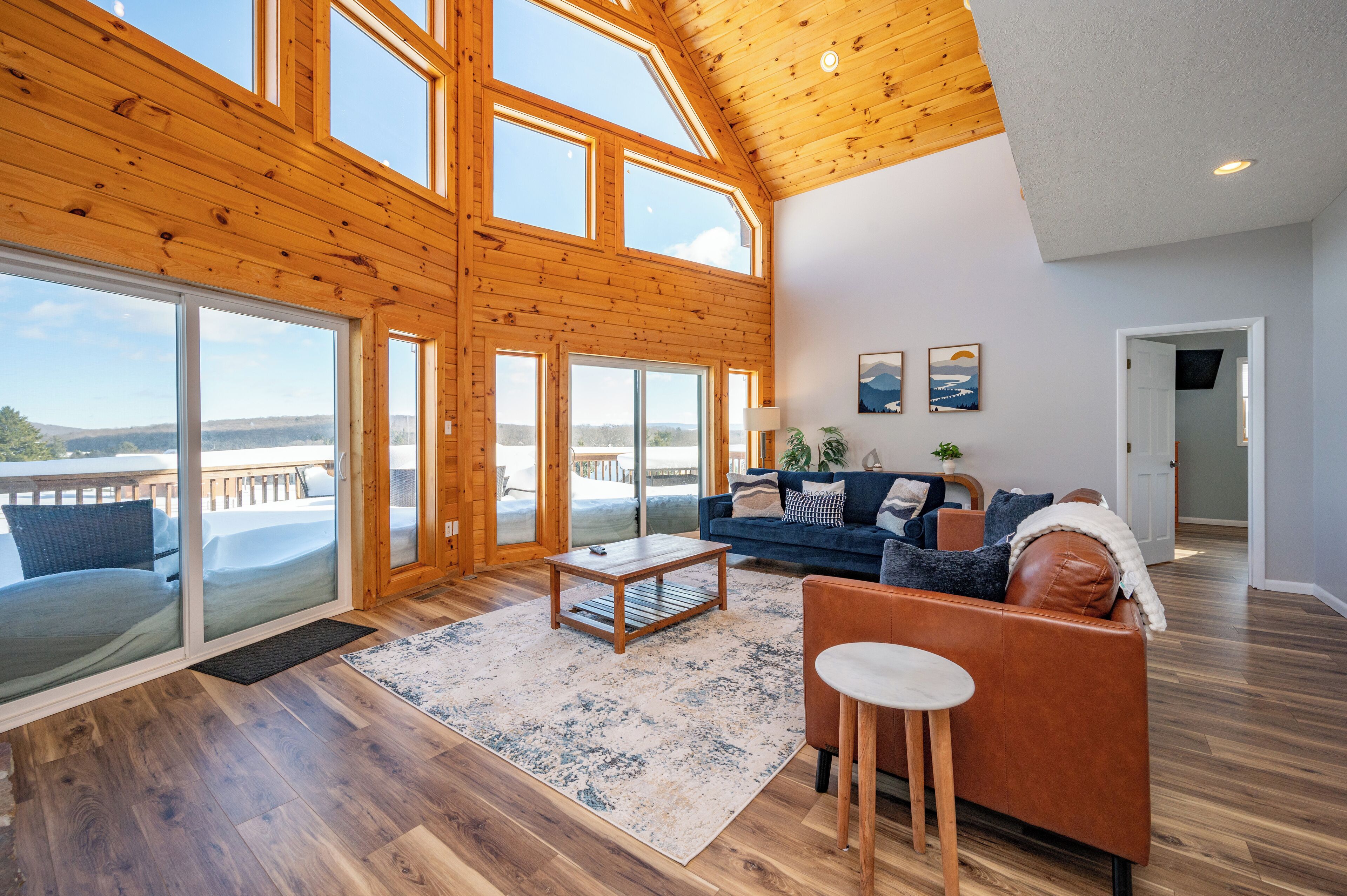 TV connectée, cheminée, jeux vidéo, lecteur de DVD