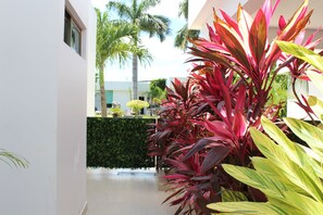 Exterior - Villa Nikki en Cancun - Mexico (Cancun)