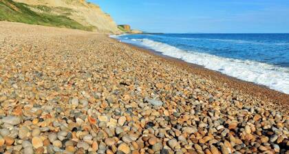 Golden Acre - Ammonite 19
