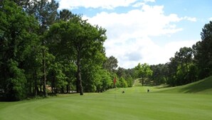 A golf course with a well-maintained fairway, trees lining the sides, and a clear sky. - Duplex 4 pers lakeside, beach and bike path (biscarrosse)
