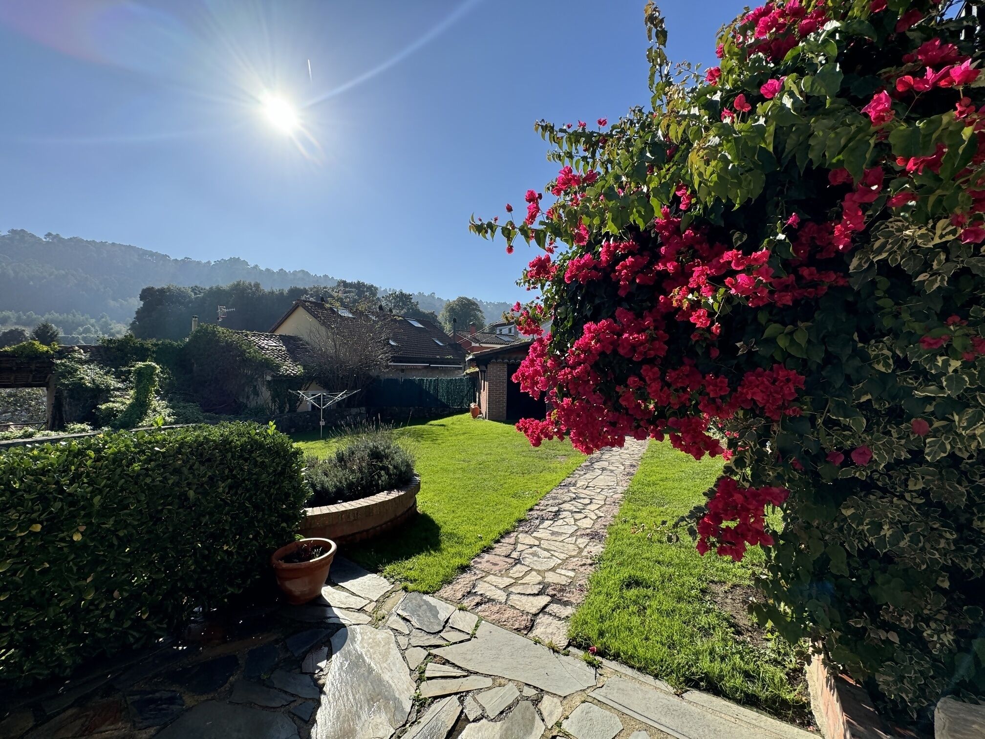 Terrein van de accommodatie