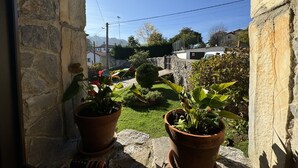 Une fenêtre encadrée de pierres donnant sur un jardin agrémenté de plantes en pot et offrant une vue sur un quartier résidentiel.