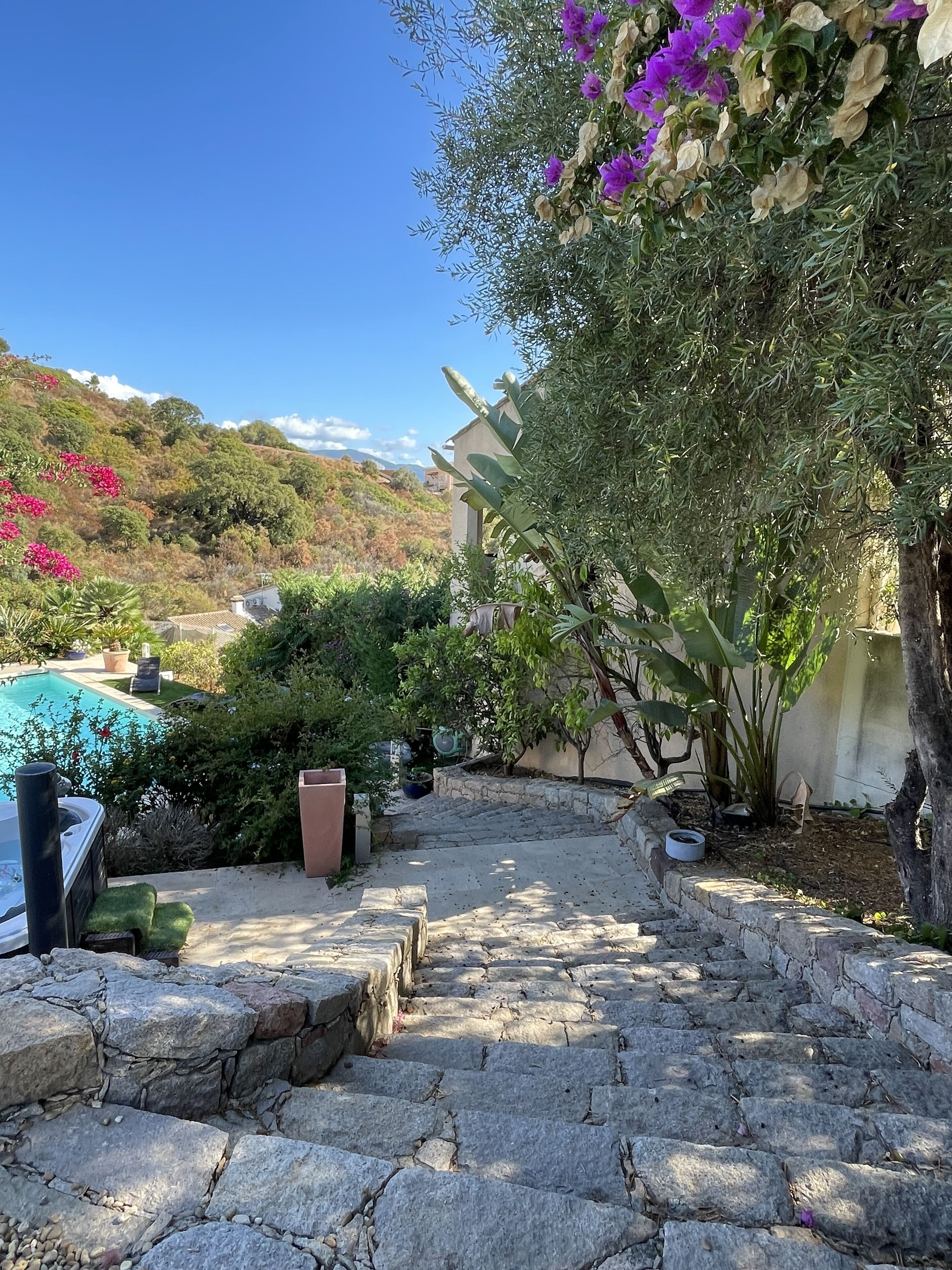 Overnattingsstedets uteområder