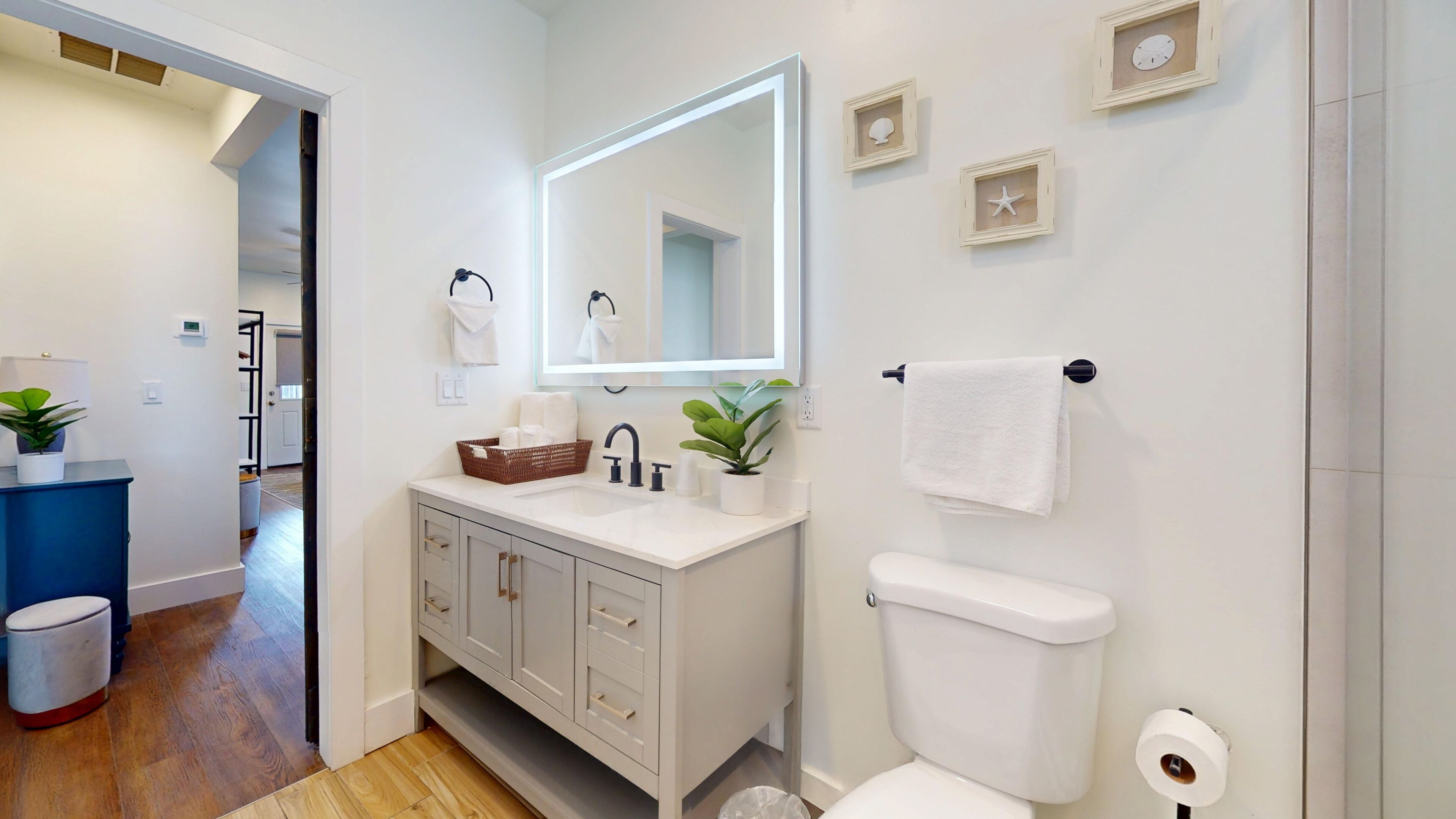 A bathroom with a white sink, a mirror above it, a toilet, and a small plant on the counter.