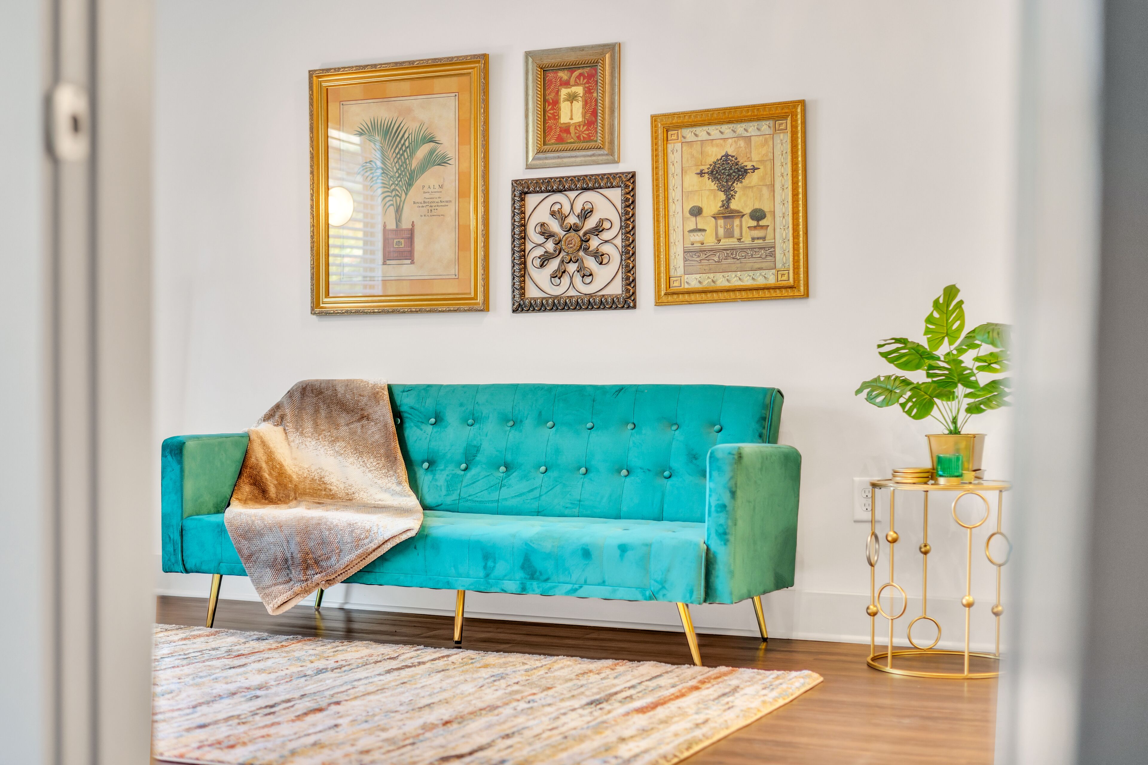 A teal sofa with a throw blanket, a patterned rug, and a small side table with a plant.