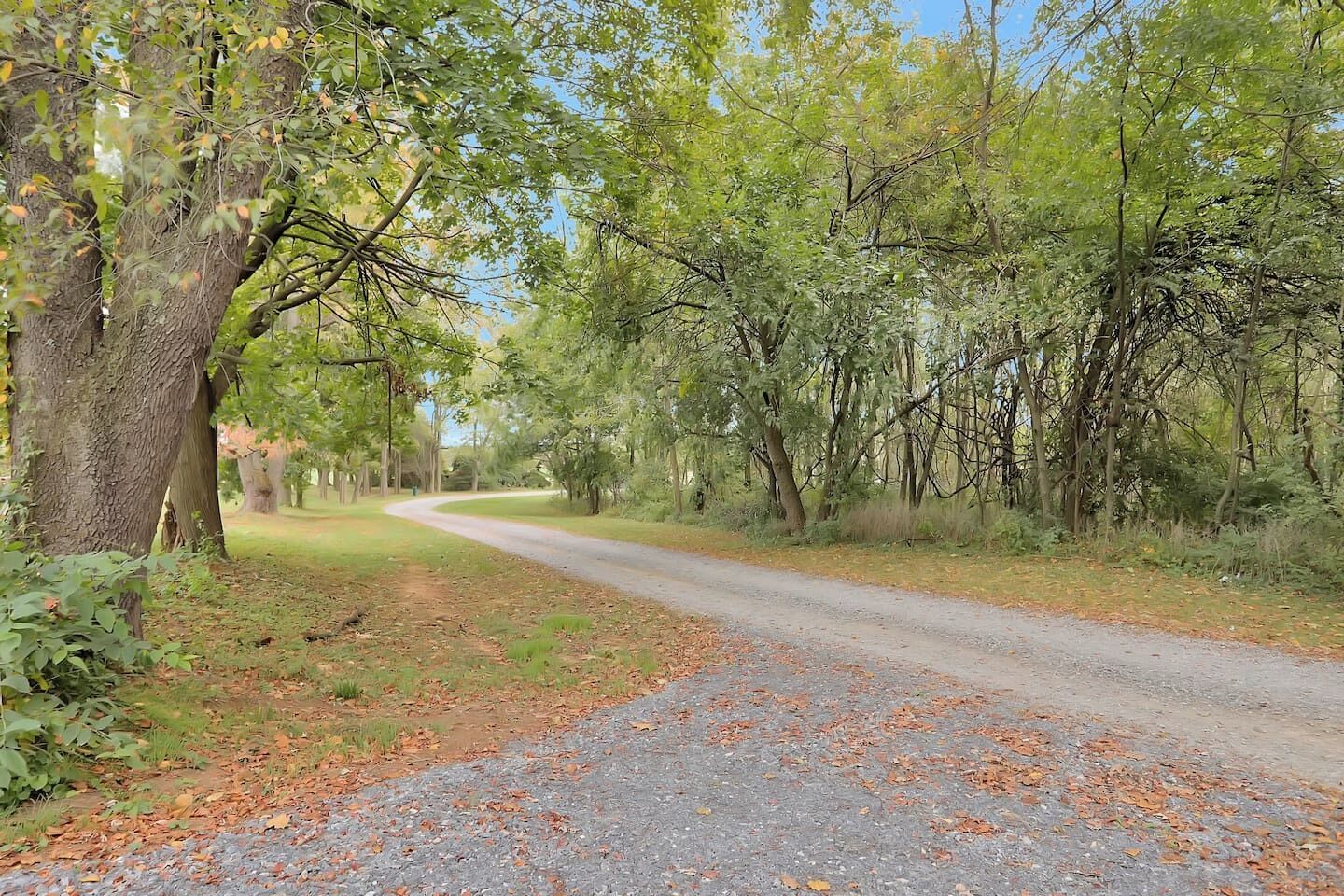 Une route de campagne bordée d’arbres et de verdure.
