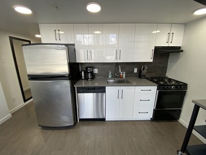 Vancouver Downtown city & mountain view 1 bed condo