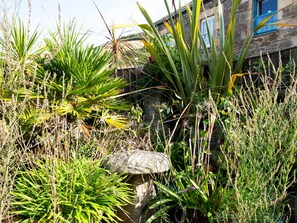 Cottage | Interior - The Moonbeach Cabin (St Austell)