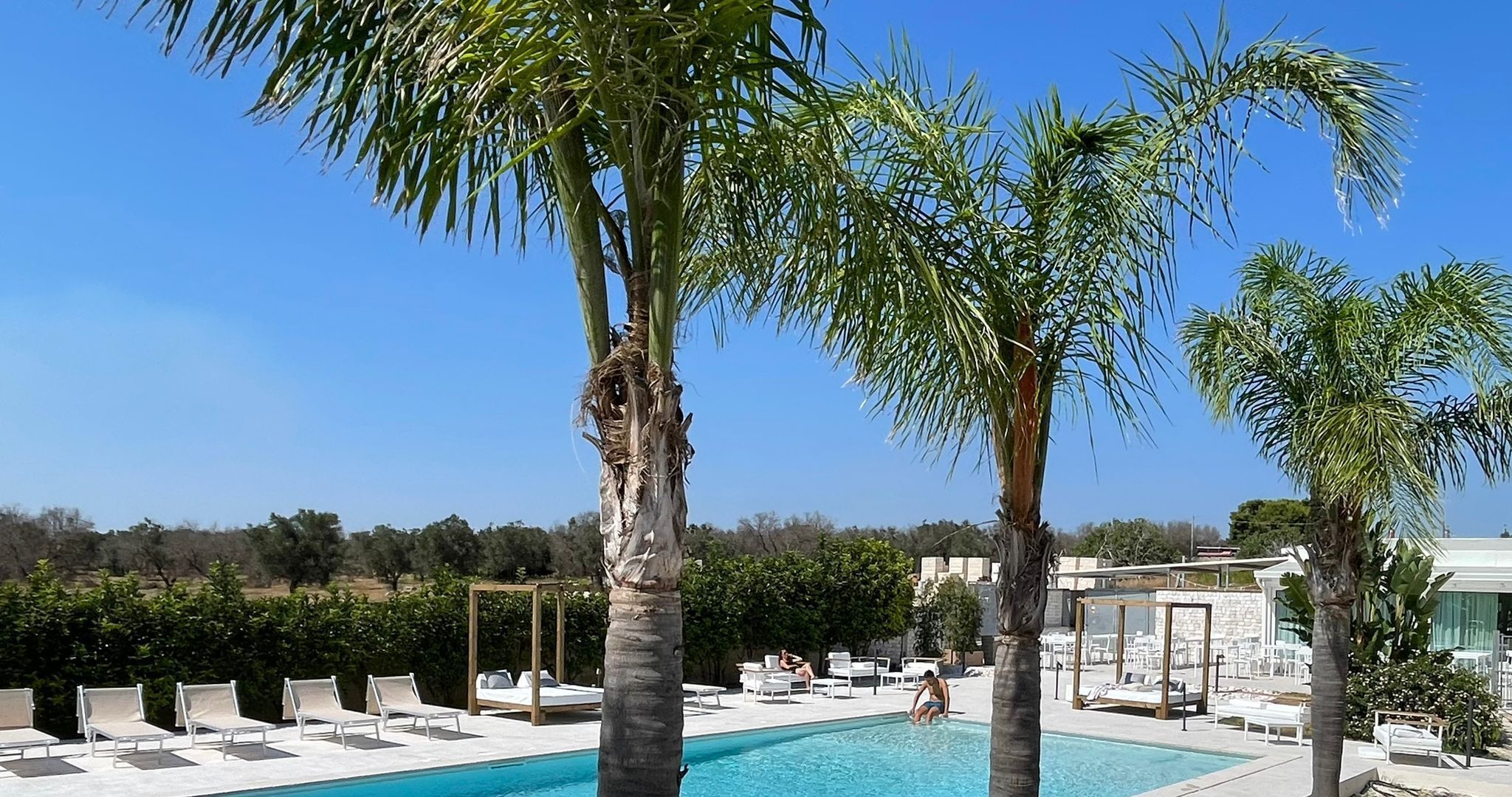 Foto - Hotel Posidonia