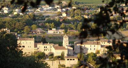 Large pretty villa 200m2, AC, garden, swimming pool, Luberon 100 m