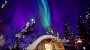 Une cabane en bois, dotée d’une porte et de fenêtres, entourée d’arbres couverts de neige et d’un sol enneigé.