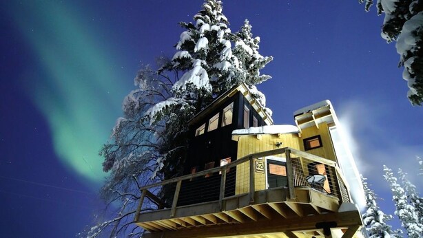 Une cabane en bois perchée dans un arbre, dotée d’un balcon, entourée d’arbres couverts de neige et surplombant un ciel nocturne dégagé.