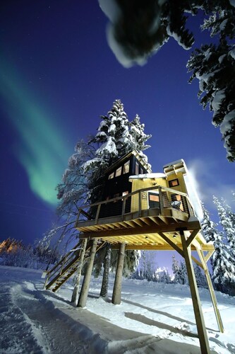 Modern Tiny Home treehouse