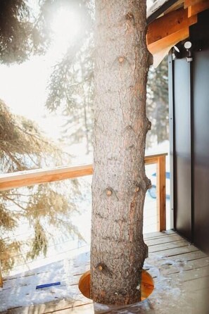 Property grounds - Modern Tiny Home treehouse (Fairbanks)