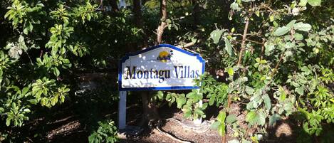 Un letrero de 'Montagu Villas' parcialmente cubierto por follaje.