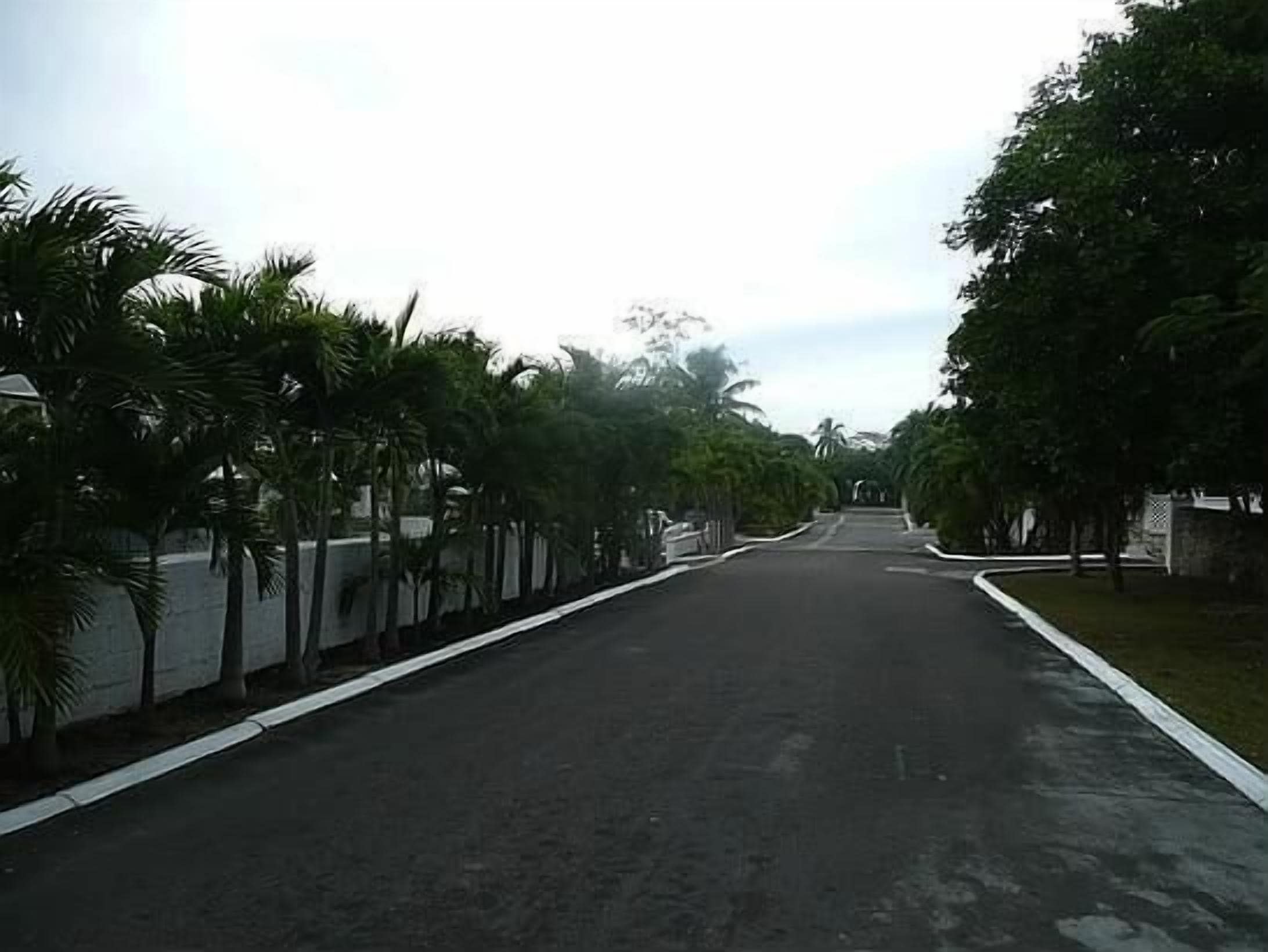 A quiet, tree-lined street with a paved road and white curbs.
