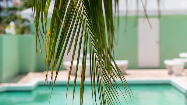 Une piscine à l’eau d’un bleu limpide, entourée d’un mur végétal et d’un bâtiment doté de balcons blancs.