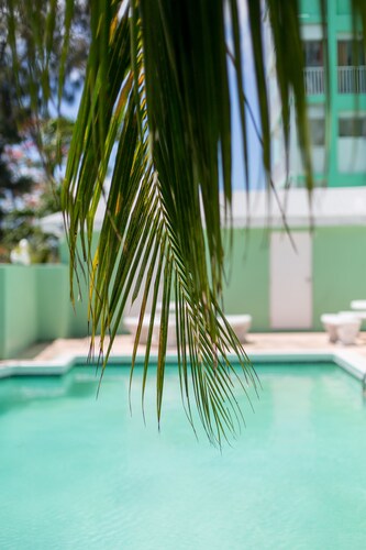 Tangerine Sunsets Murcott