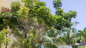 Un jardin luxuriant avec un escalier blanc menant à une zone abritée, entouré de divers arbres et arbustes.