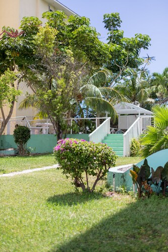 Tangerine Sunsets Murcott