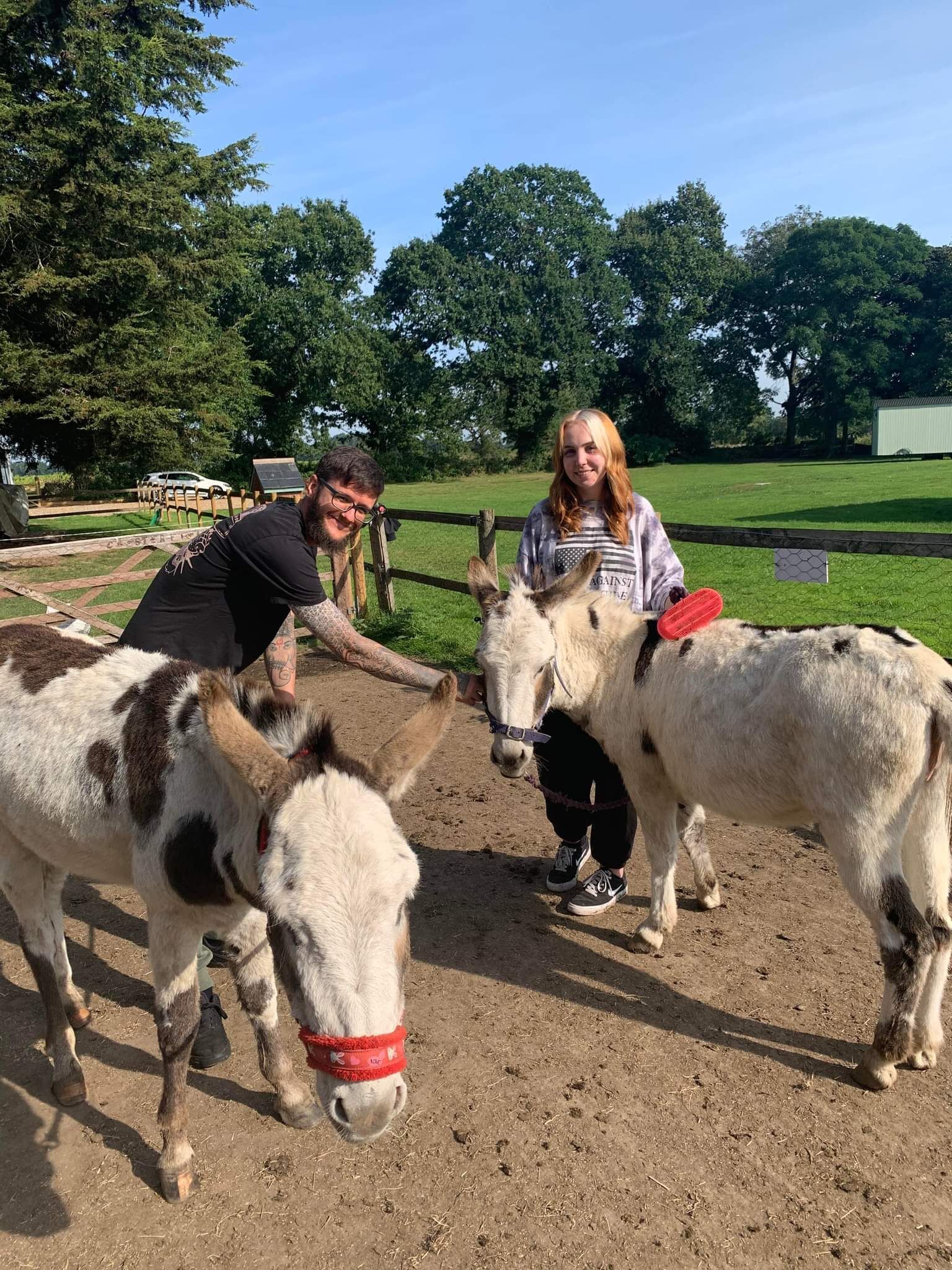 Two donkeys with riders in a fenced area with trees and a building in the background.
