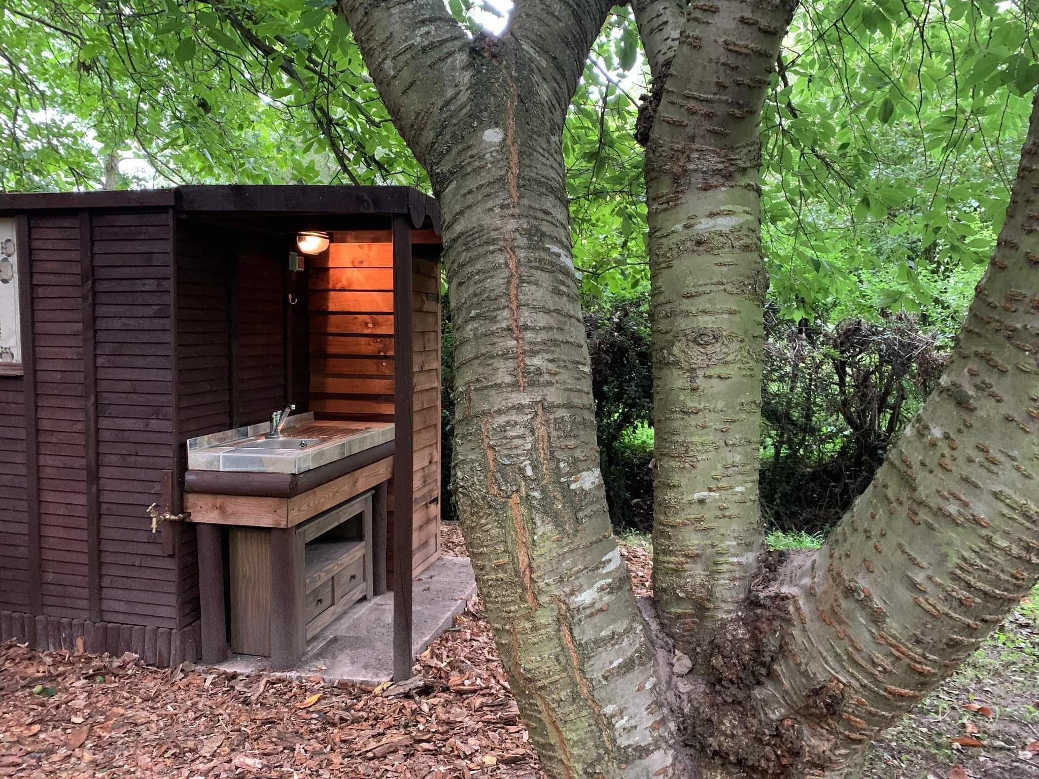 A small wooden cabin with a built-in sink and a light fixture above it, surrounded by trees.