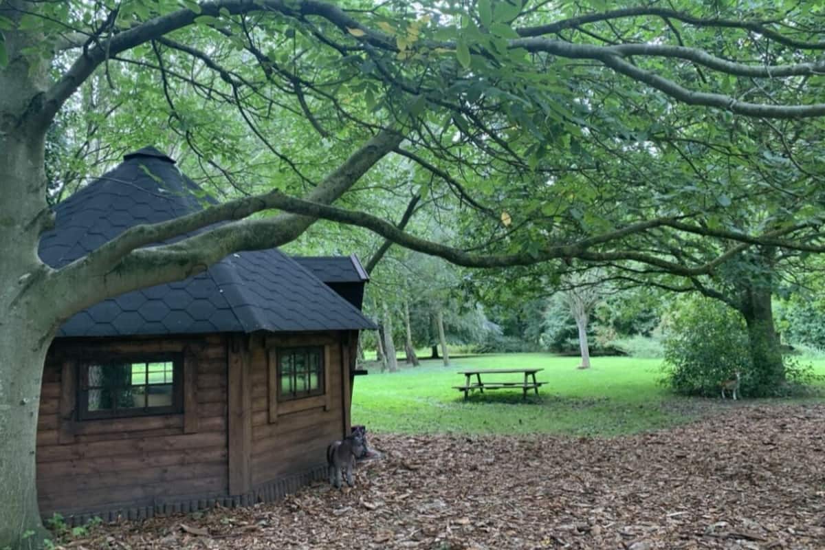 Chambre Supérieure, salle de bains privée (Pixie) | Jardin