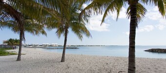 Tangerine Sunsets Fairchild