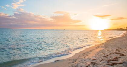 Tangerine Sunsets Pomelo North