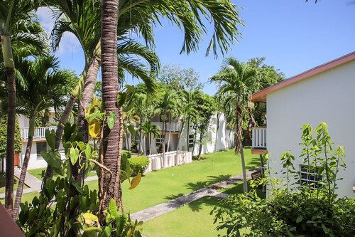 Tangerine Sunsets Fallglo