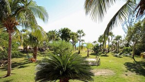A lush garden with palm trees and a grassy lawn. - Tangerine Sunsets Castaway, Tangerine Sunsets Castaway (Nassau)
