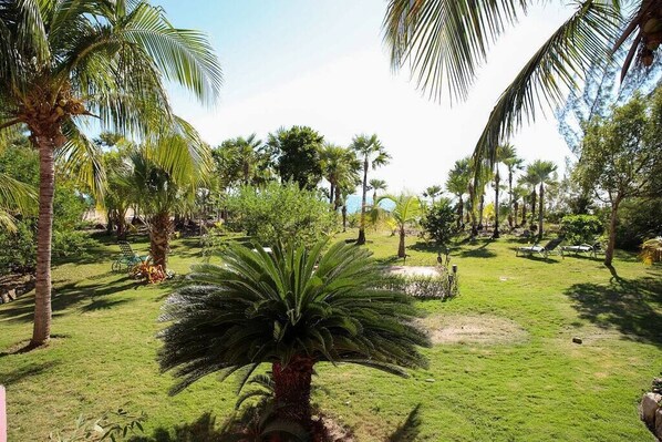A lush garden with palm trees and a grassy lawn.