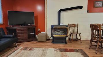 Télévision, cheminée, lecteur de DVD