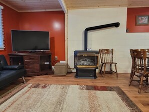 TV, fireplace, DVD player