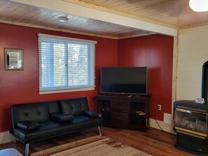 TV, fireplace, DVD player