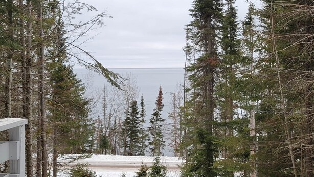 A view of a snowy landscape with tall evergreen trees and a body of water in the distance.