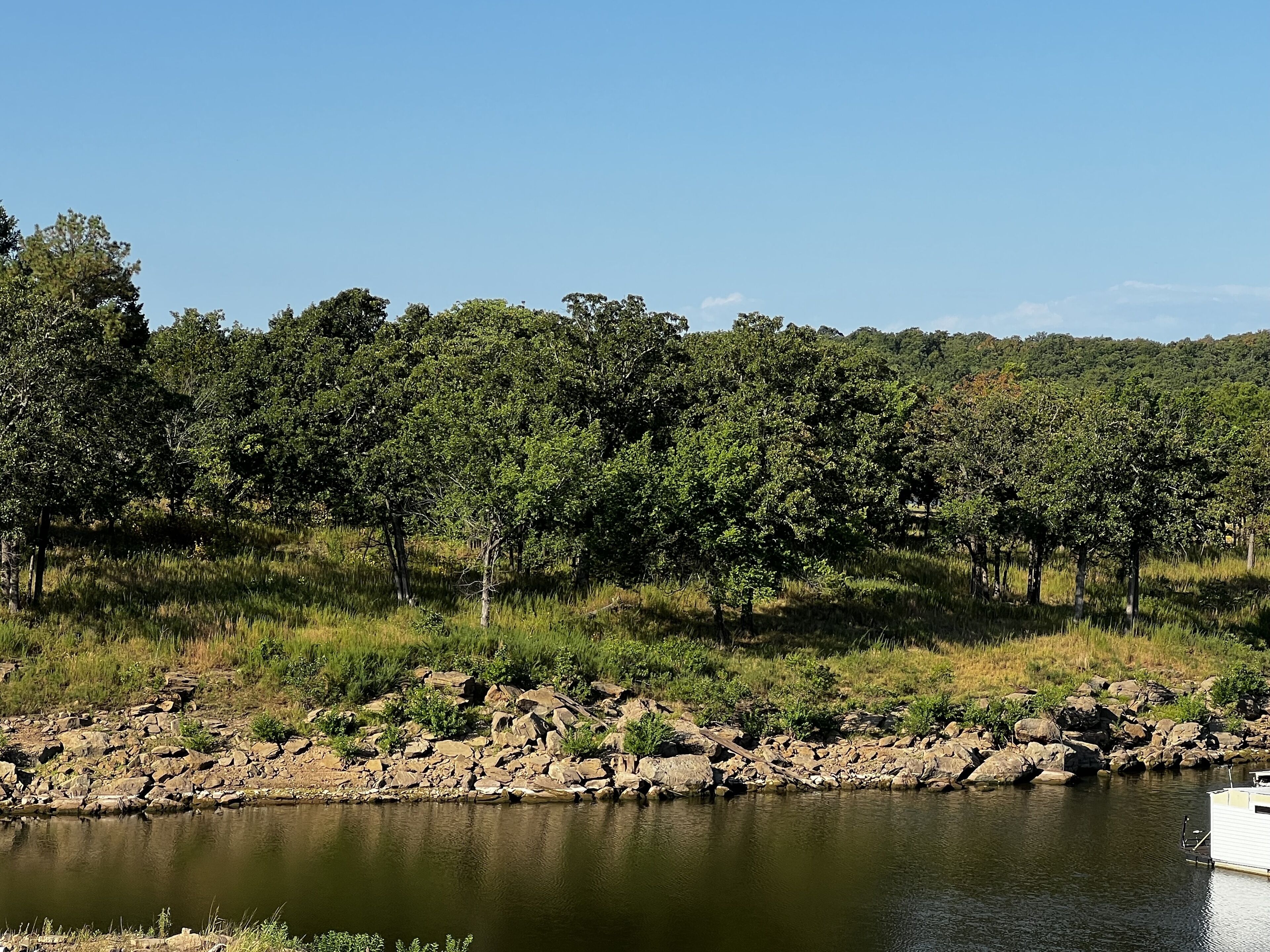 Cozy cabin loft located within Pier 51 Marina