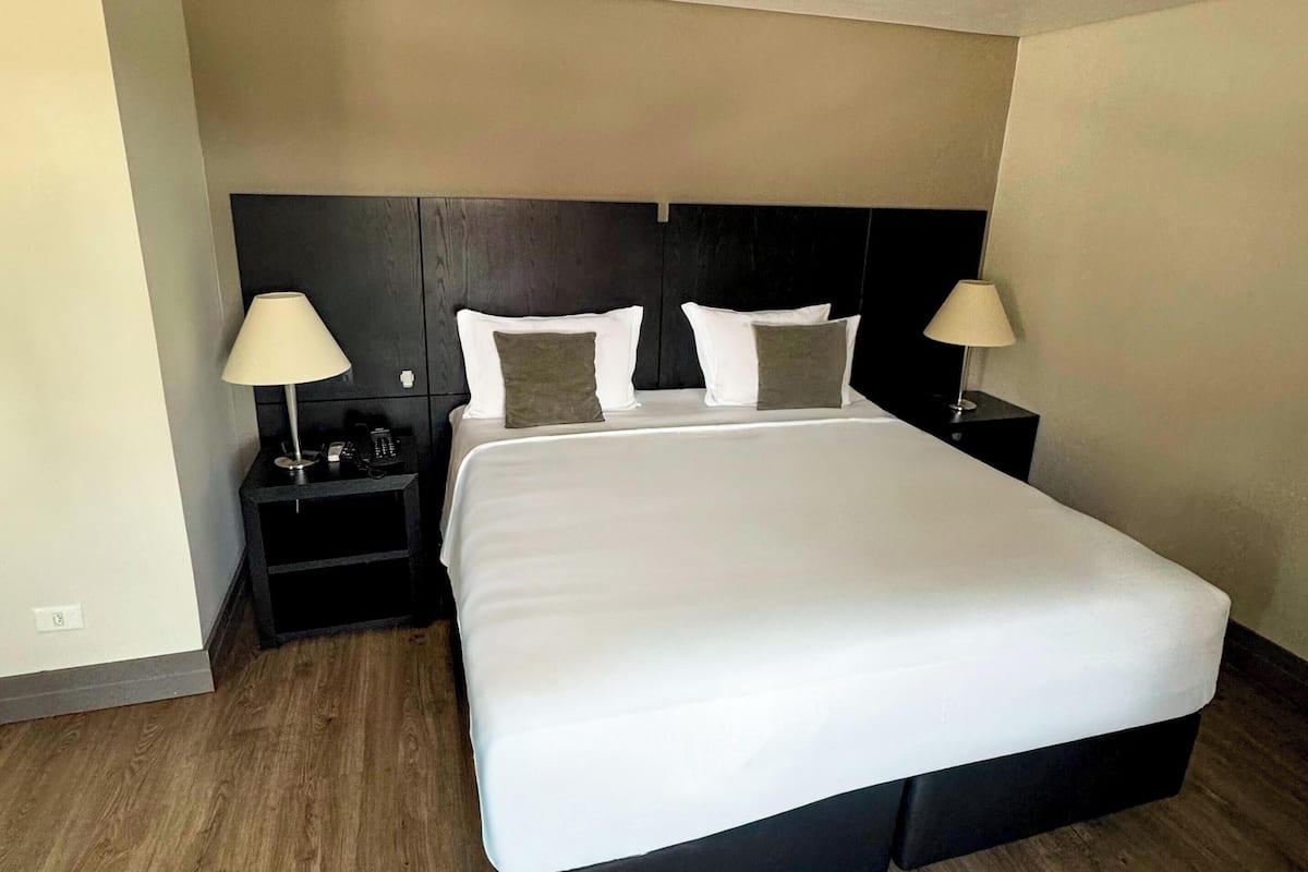 Basic Twin Room | Desk, laptop workspace, free WiFi, bed sheets