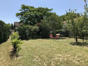 A backyard with a lawn, a small tree, and a red chair.